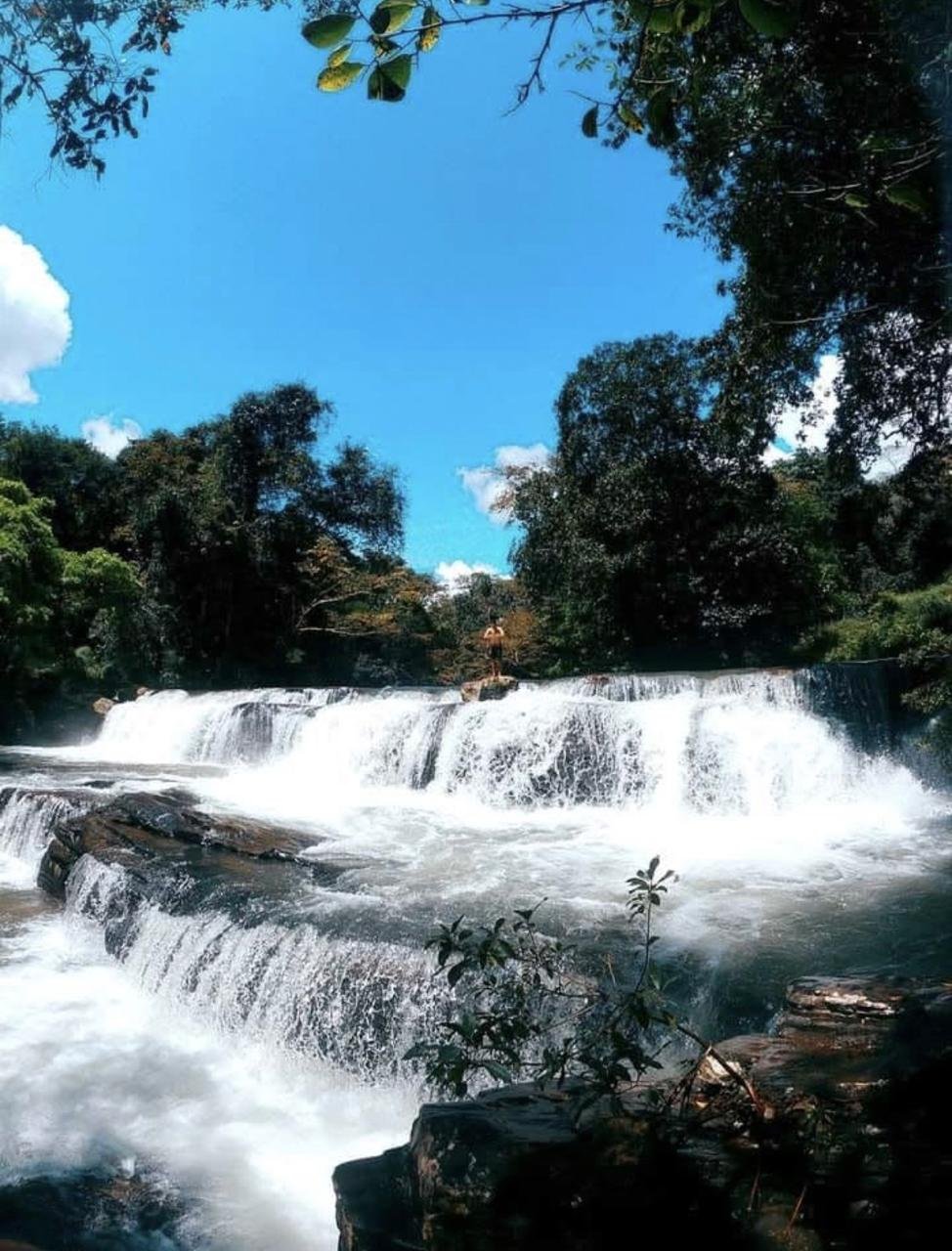 Shenaya Plantation - WhatsApp Image 2025 09 21 at 17.54.59 4bcc01c8